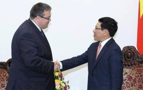 Progress in Vietnam-Hungary ties - ảnh 1